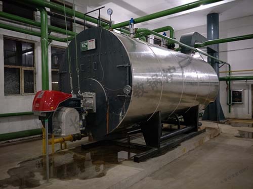 WNS系列燃气蒸汽、热水锅炉