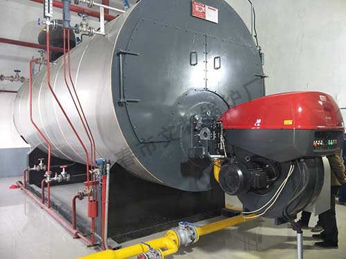 WNS系列燃气蒸汽、热水锅炉